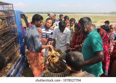 Sylhet, Bangladesh - 19 November 2017: To Alleviate Poverty, Rural Farmers Are Taking Initiative Of Poultry Rearing Project After Training.(Poultry Concept).