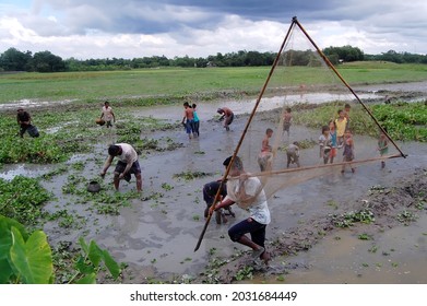 Sylhet, Bangladesh - 8 October 2015: A Beautiful View Of Fishing In Shallow Muddy Water.