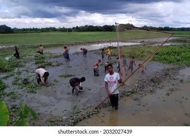 Sylhet, Bangladesh - 8 October 2015: A Beautiful View Of Fishing In Shallow Muddy Water.