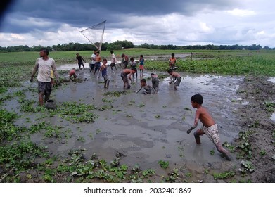 Sylhet, Bangladesh - 8 October 2015: A Beautiful View Of Fishing In Shallow Muddy Water.