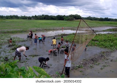 Sylhet, Bangladesh - 8 October 2015: View Of Fishing In Shallow Muddy Water.