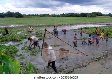 Sylhet, Bangladesh - 8 October 2015: A Beautiful View Of Fishing In Shallow Muddy Water.