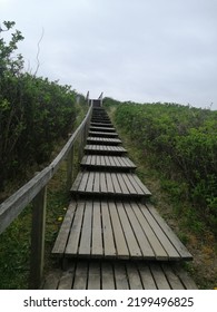 Sylt Island Sea Sommer Beach