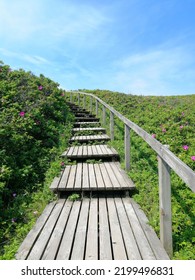 Sylt Island Sea Sommer Beach