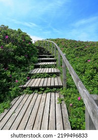 Sylt Island Sea Sommer Beach