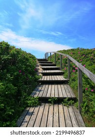 Sylt Island Sea Sommer Beach