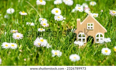 The symbol of the house stands among white daisies
