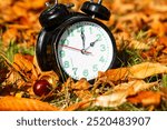 Symbol image Time change, autumn: An alarm clock among autumn leaves