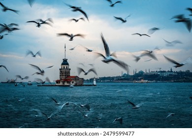 The symbol of Istanbul, the Maiden's Tower and the seagulls flying around it - Powered by Shutterstock