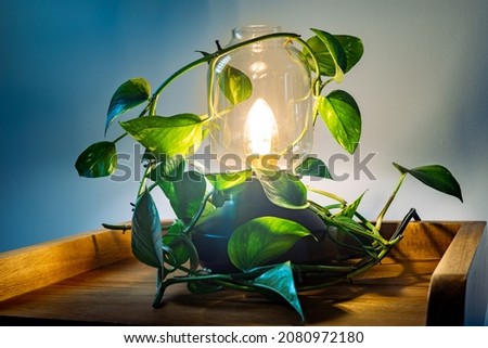 a symbol of sustainable energy and CO2 reduction in the environment, Concept, A stylish lamp entwined with leaves, emitting vibrant colors falling into green 