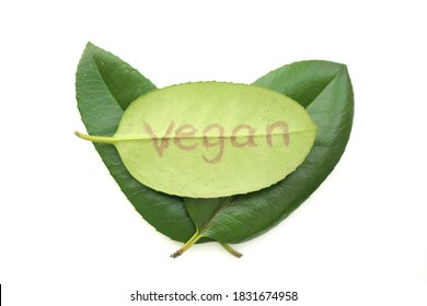 Symbol Of Vegan On Green Leaf