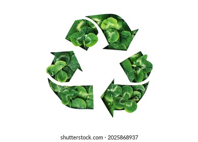 a symbol of waste recycling with green clover leaves. environmental protection