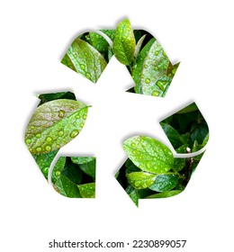 a symbol of waste recycling with green  leaves. environmental protection concept