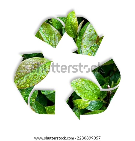 a symbol of waste recycling with green  leaves. environmental protection concept