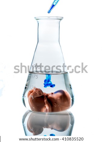 symbolfoto embryo, genetic engineering and abortion. schangersch