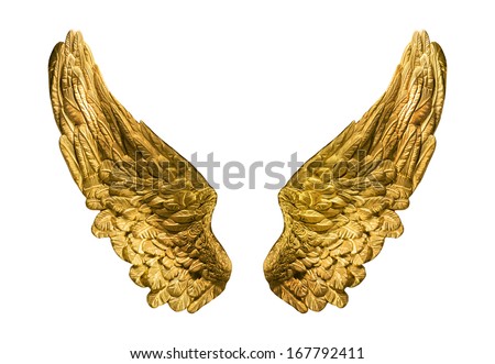 Symbolic composition of golden wings isolated onwhite.