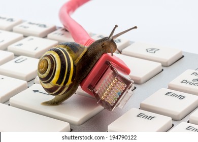 network is slow my network is slow