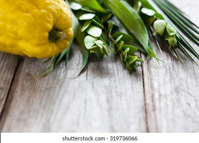 Symbols of jewish fall festival of Sukkot, lulav - etrog, palm branch, myrtle and willow - on old wooden background.