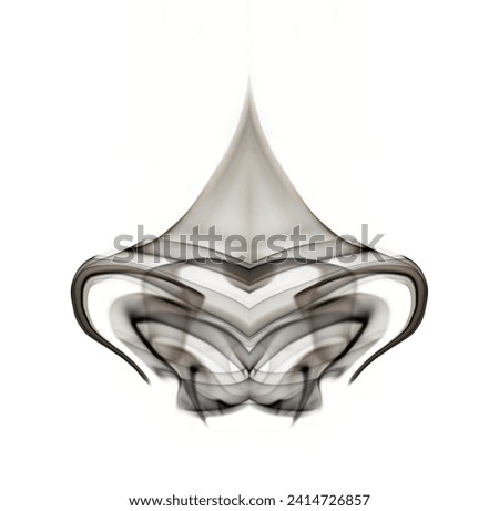 Symmetrical abstract photography of shapes acquired by smoke on a white background.