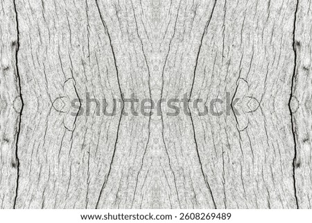Symmetrical bark texture - tileable decayed wood surface