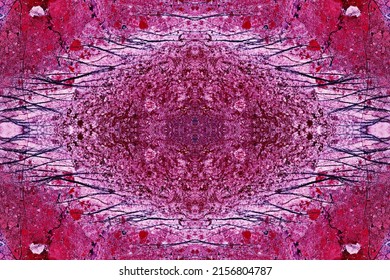 A symmetrical pattern formed by multi-colored spots of natural stone jasper texture. Natural abstract patterns of slice of multicolored jasper stone. The image with the mirror effect.