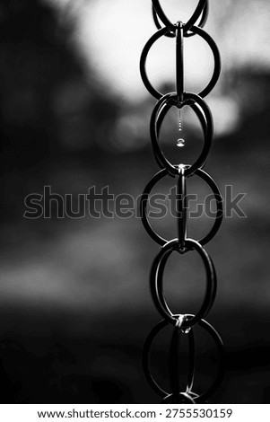 Symmetrical Raindrop Reflection in Dramatic Monochrome