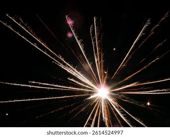 Symmetrical starburst firework with white and gold trails captured at peak explosion - Powered by Shutterstock - Get 15% off with code: PIKWIZARD15