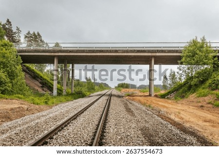 Symmetrical view of railway tracks stretching into the distance and passing beneath a concrete bridge, surrounded by forested terrain and cloudy skies.