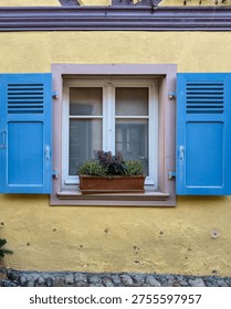 symmetrical view of a small window set in a textured yellow wall with bright blue wooden shutters opened on both sides a white framed glass window reveals a subtle interior reflection a rectangular planter box filled with green foliage and small flowers rests on the sill the scene highlights traditional european architecture simple decorative elements and vibrant color contrast between the wall shutters and natural greenery in a calm residential setting