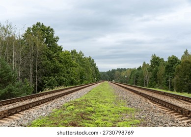 Symmetrical wide angle perspective of double railroad tracks stretching toward distant horizon through lush green deciduous forest under overcast cloudy sky with grassy median