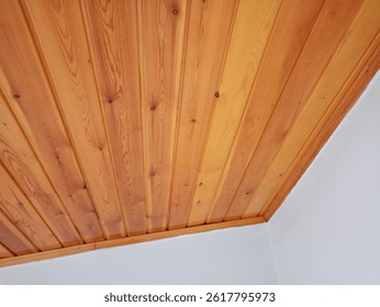 Symmetrical wooden paneling with natural texture  