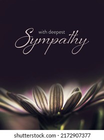 Sympathy Card With African Daisy  