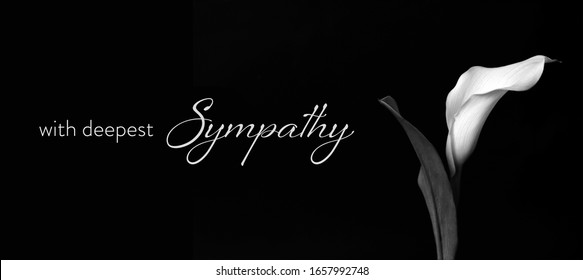 Sympathy Card With Calla Lily Isolated On Black Background