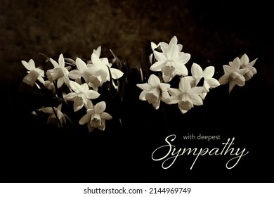 Sympathy Card With Daffodils Isolated On Black Background