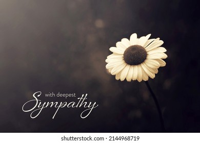 571 Deep sympathy condolence Images, Stock Photos & Vectors | Shutterstock