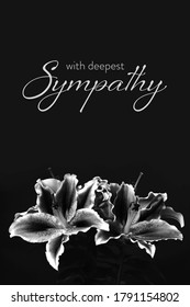 71,497 Sympathy Images, Stock Photos & Vectors | Shutterstock