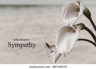 Sympathy Card With Lily Flowers. Black And White Image