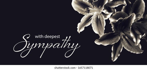 Sympathy Card Lily Flowers Isolated On Stock Photo 1657118071 ...