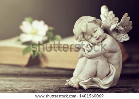 Sympathy card. Little cherub sleeping. Angel, flower and book on wooden background	