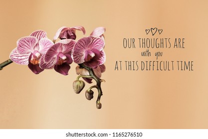 Sympathy Card With Orchid