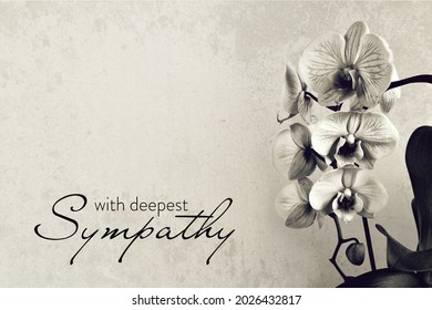 Sympathy card with orchid on grunge background  