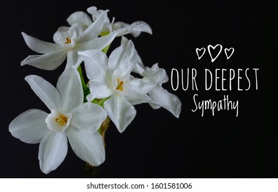 Sympathy Card Our Deepest Sympathy Words Stock Photo 1601581006 ...