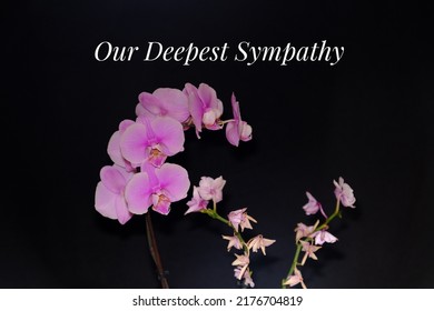 4,556 Sympathy messages Images, Stock Photos & Vectors | Shutterstock