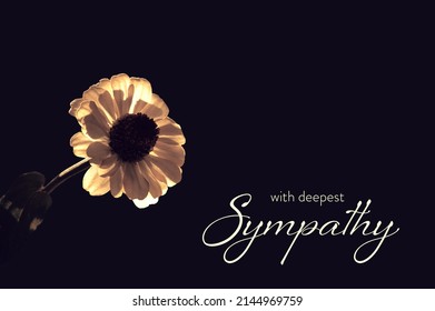 571 Deep sympathy condolence Images, Stock Photos & Vectors | Shutterstock