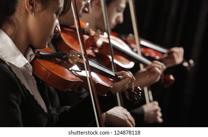 Symphony music, violinists at concert