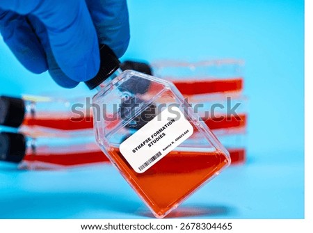 Synapse Formation Studies Investigating synaptic connections in cultured neurons to study brain function and disorders. Cell Culture technologies