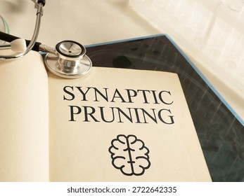 Synaptic Pruning and Brain Development Mechanism Concept with Neural Connections, Neuroplasticity and Cognitive Maturation