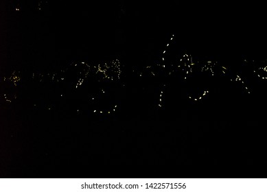 Synchronized Fireflies In Elkmont In Great Smoky Mountain National Park In Tennessee 