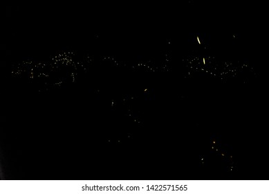 Synchronized Fireflies In Elkmont In Great Smoky Mountain National Park In Tennessee 