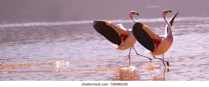 Synchronized Landing